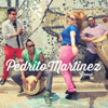 La Luna (feat. Steve Gadd) - The Pedrito Martinez Group