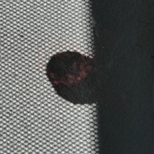 Uninterested - Single