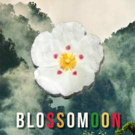 Energy Around Us (feat. Jack Murphy) Blossomoon