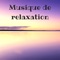 Les chakras (Kundalini) - Oasis de Méditation lyrics