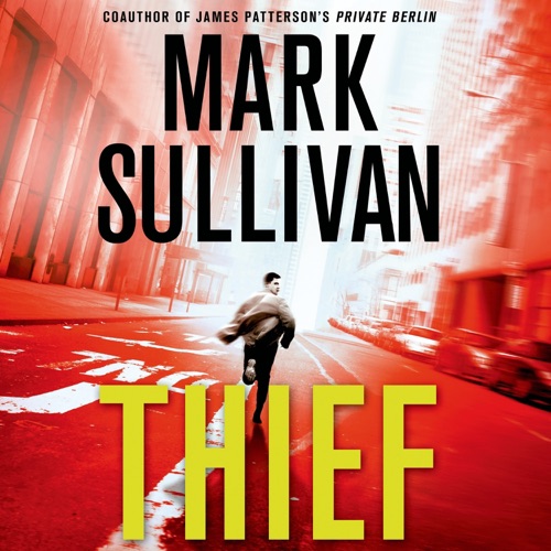Thief cover