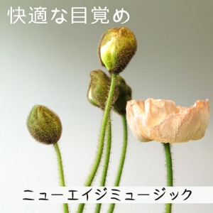 快適な目覚め (ニューエイジミュージック, 緩和治療, 自然の音, 座禅)