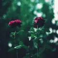 By My Side