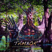 Tambor - Single - Fanko