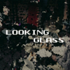Looking Glass (feat. Dana Hawkins) - Evan Marien