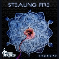 Stealing Fire - Single - Bass Physics & Evanoff