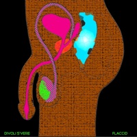 Flaccid - Single - Divoli S'vere