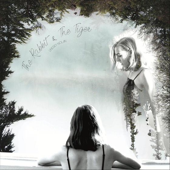 Cover artwork for Wildflower