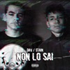 Non lo sai (feat. Stain) - Single