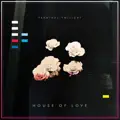 The Fire of Love