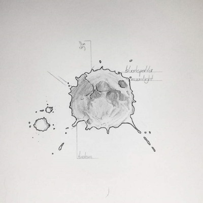 Blood, Dust, & Moonlight - Single