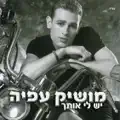 אני לא זמין