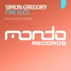 Simon Gregory - Fire & Ice