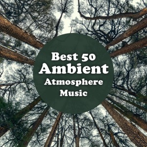 Best 50 Ambient Atmosphere Music: Top 100, Selection of Nature Sounds, Relaxation, Meditation, Sleep Music (feat. Relaxation Meditation Songs Divine)