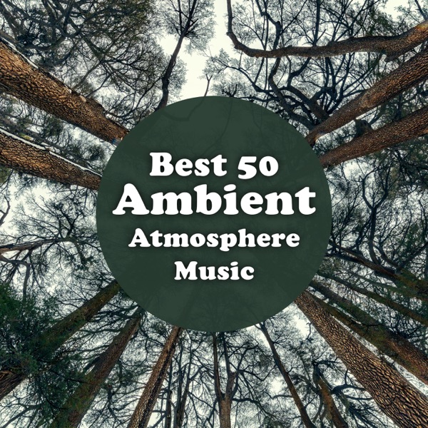 Best 50 Ambient Atmosphere Music: Top 100, Selection of Nature Sounds, Relaxation, Meditation, Sleep Music (feat. Relaxation Meditation Songs Divine)