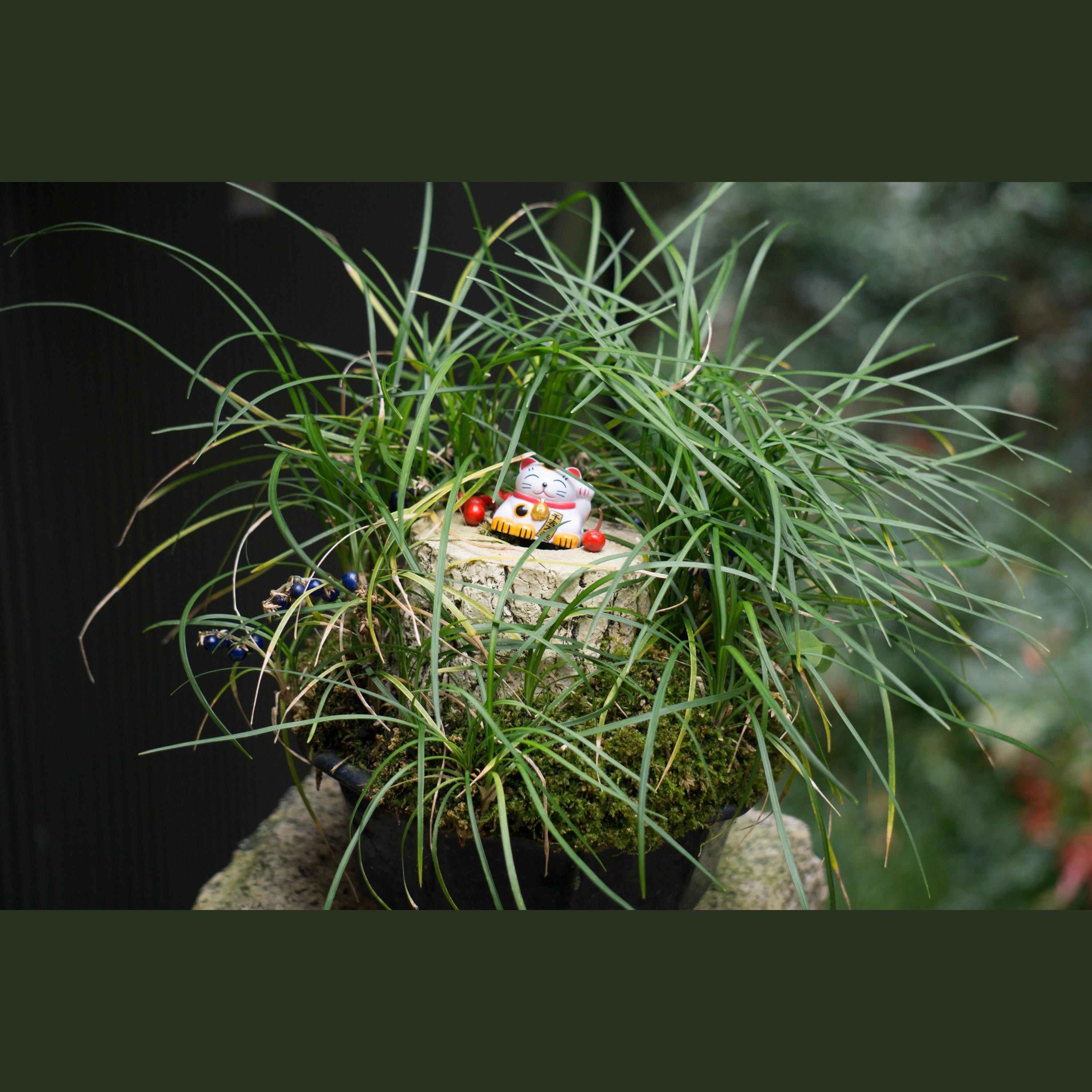 Sleeping on a Plane (feat. Angel Tears) - Single