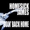 Goin' Back Home - Homesick James
