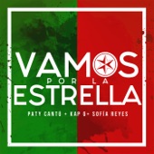 Vamos Por La Estrella artwork