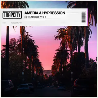 descargar álbum Ameria & HYPRESSION - Not About You