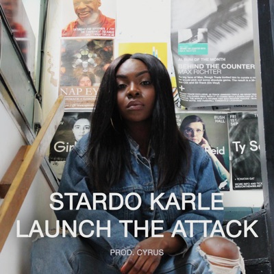 Launch the Attack - Single