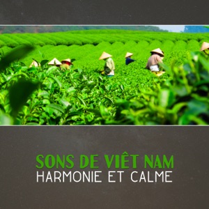 Sons de Viêt Nam: Harmonie et calme, musique orientale pour la détente et la méditation, trouver la paix intérieure