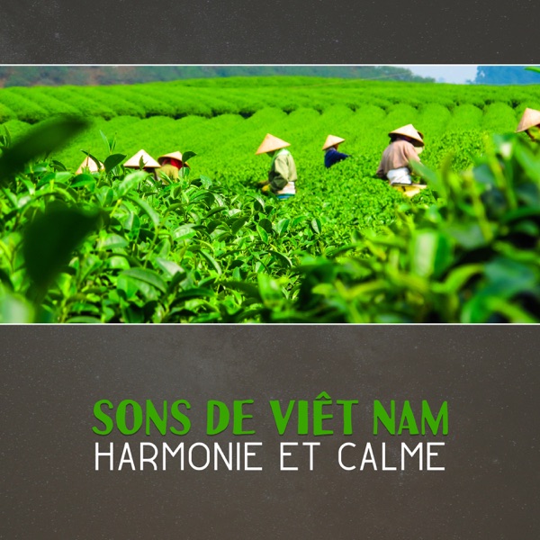 Sons de Viêt Nam: Harmonie et calme, musique orientale pour la détente et la méditation, trouver la paix intérieure
