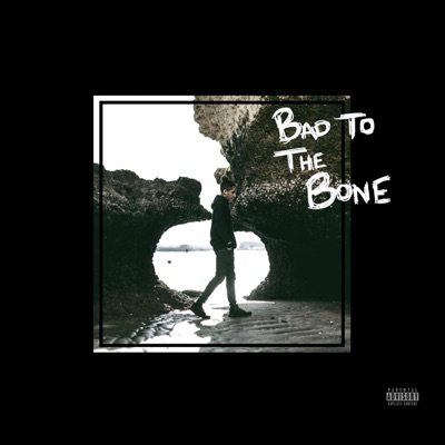 Bad to the Bone - Single