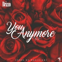 You Anymore - Single - Brizzo