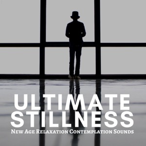 Ultimate Stillness: New Age Relaxation Contemplation Sounds for Meditation, Time for Relax, Soul Restoring
