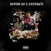 Birds of a Feather - Single