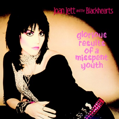 Heart with Joan Jett & the Blackhearts in - Tampa, FL | Groupon