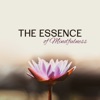 The Essence of Mindfulness: Effective Music for Meditation, Relaxation & Focus, Feel Better & Relaxed with Nature Sounds in Zen World