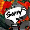 Stream & download Sorry - Single