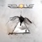Days of Grey - Revolve lyrics