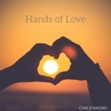 Hands of Love - Single