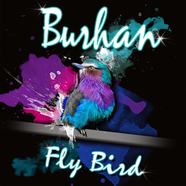Fly Bird - Single