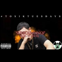 Surroundings - Single - EL Toxik