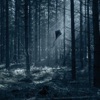 Dark and Day - Single