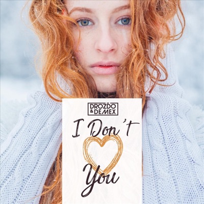 I Don't Love You - Single