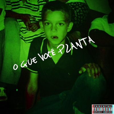 O que você planta - Single