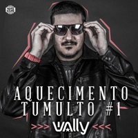 Aquecimento Tumulto #01 - Single - DJ Wally