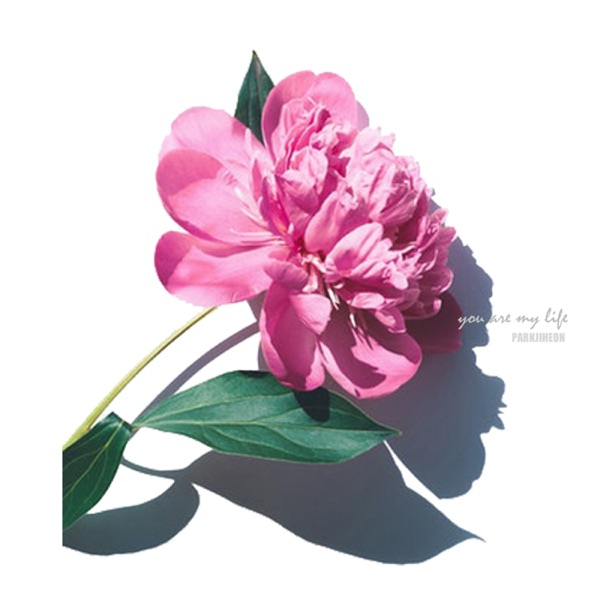 You Are My Life - Single