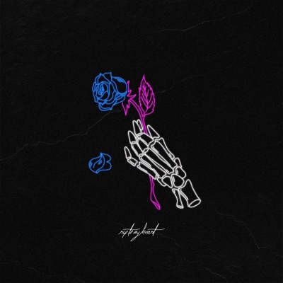 RipToMyHeart (feat. Hayd3rg & Xrolife) - Single