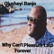 Why Can't Pleasure Last Forever - Olusheyi Banjo lyrics