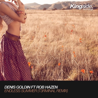 Endless Summer (feat. Rob Hazen) [T3rminal Remix] - Single