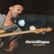 Nikki's Groove - Marcus Miller lyrics