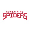 Sunbathing Spiders