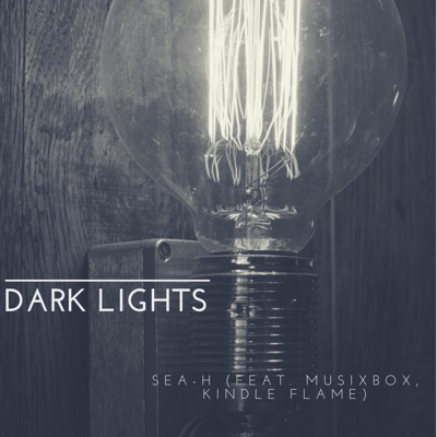 Dark Lights (feat. MusixBox & Kindle Flame) - Single