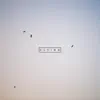 Flying