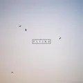Flying